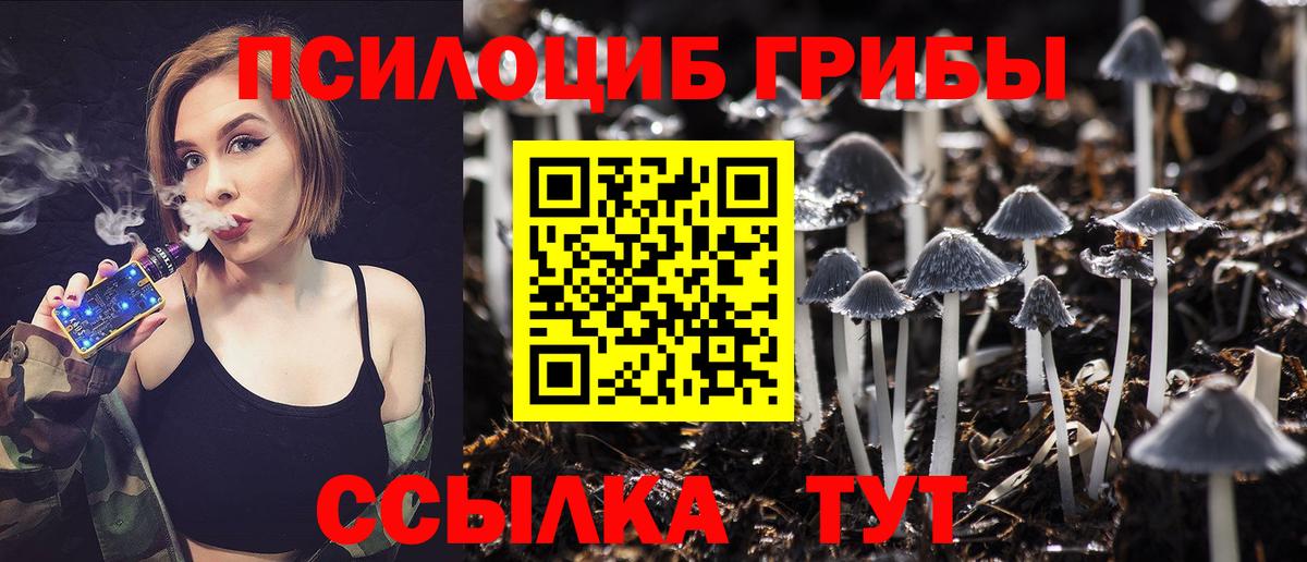 где найти наркотики  Псилоцибиновые грибы Cubensis  Вход с VPN  Аша 