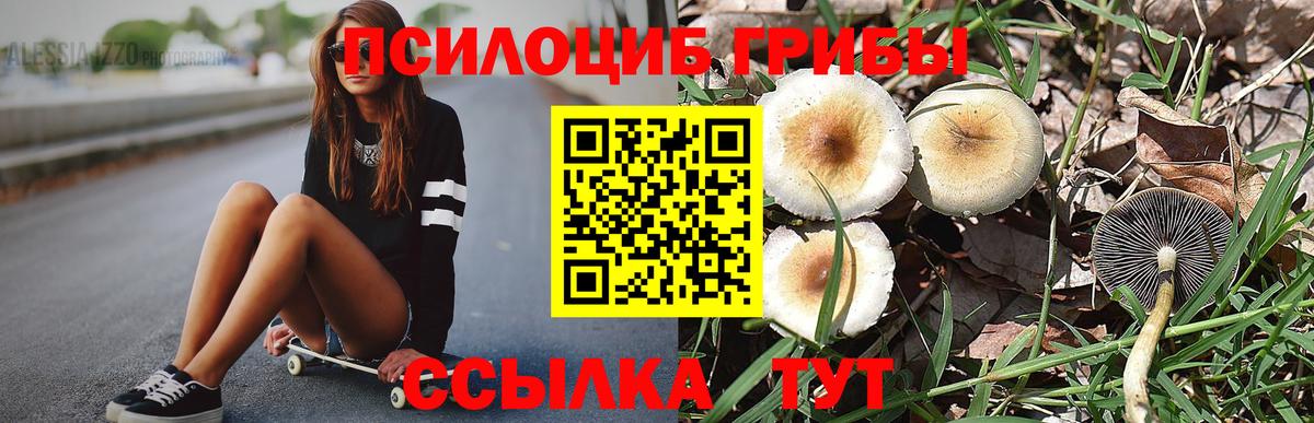 Галлюциногенные грибы Cubensis Аша